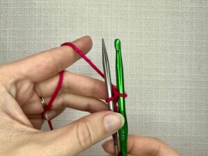 Bring the yarn back behind the needle, and repeat the steps above to reach the desired stitch count (do not include the st on the crochet hook).
