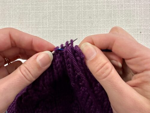 Place your tapestry needle behind the next 2 knit stitches and then insert your needle knitwise into the next purl stitch. Pull your yarn through, keeping it behind your work.